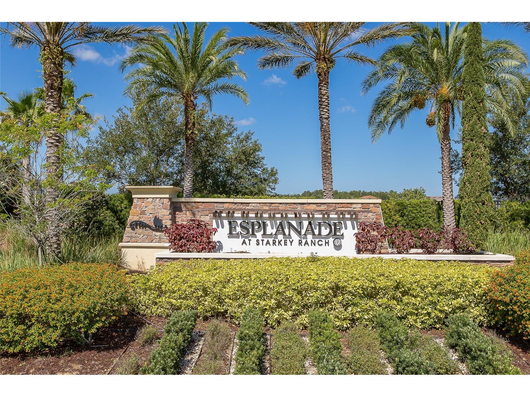11121 Egeria Drive Odessa FL 33556 W7886916 image86
