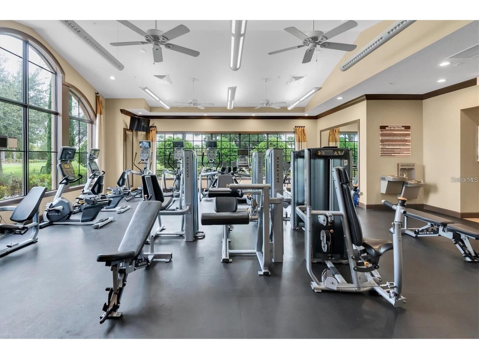 11121 Egeria Drive Odessa FL 33556 W7886916 image96