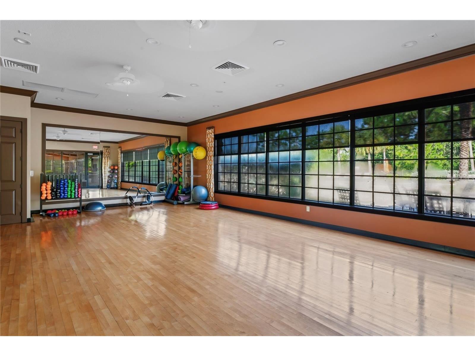 11121 Egeria Drive Odessa FL 33556 W7886916 image98