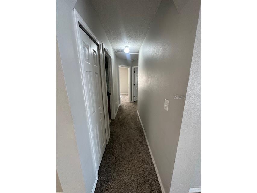 11121 Kempton Vista Drive Riverview FL 33579 TB8497742 image11