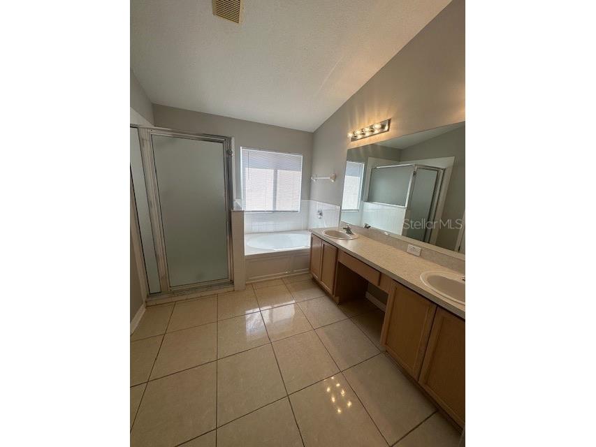 11121 Kempton Vista Drive Riverview FL 33579 TB8497742 image7