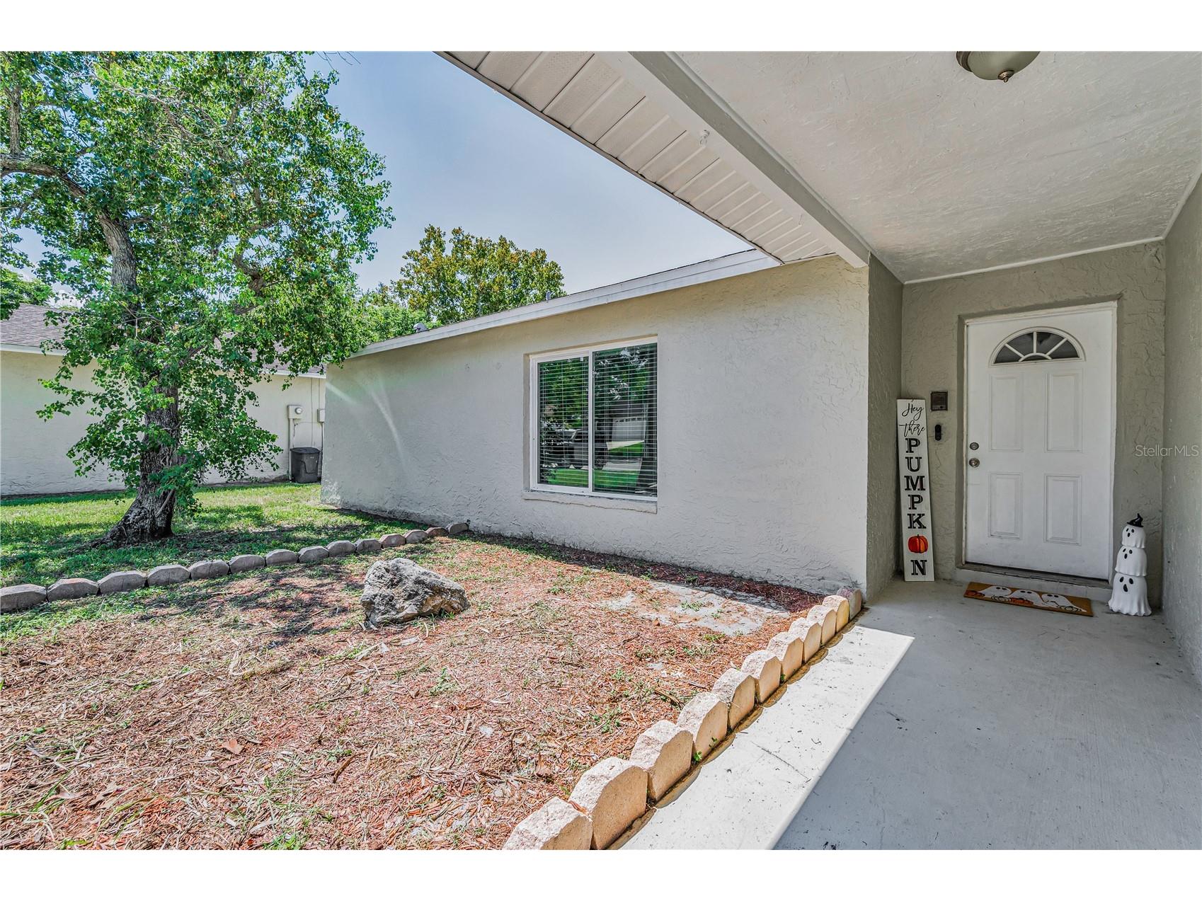 11121 Peppertree Lane Port Richey FL 34668 TB8421067 image10