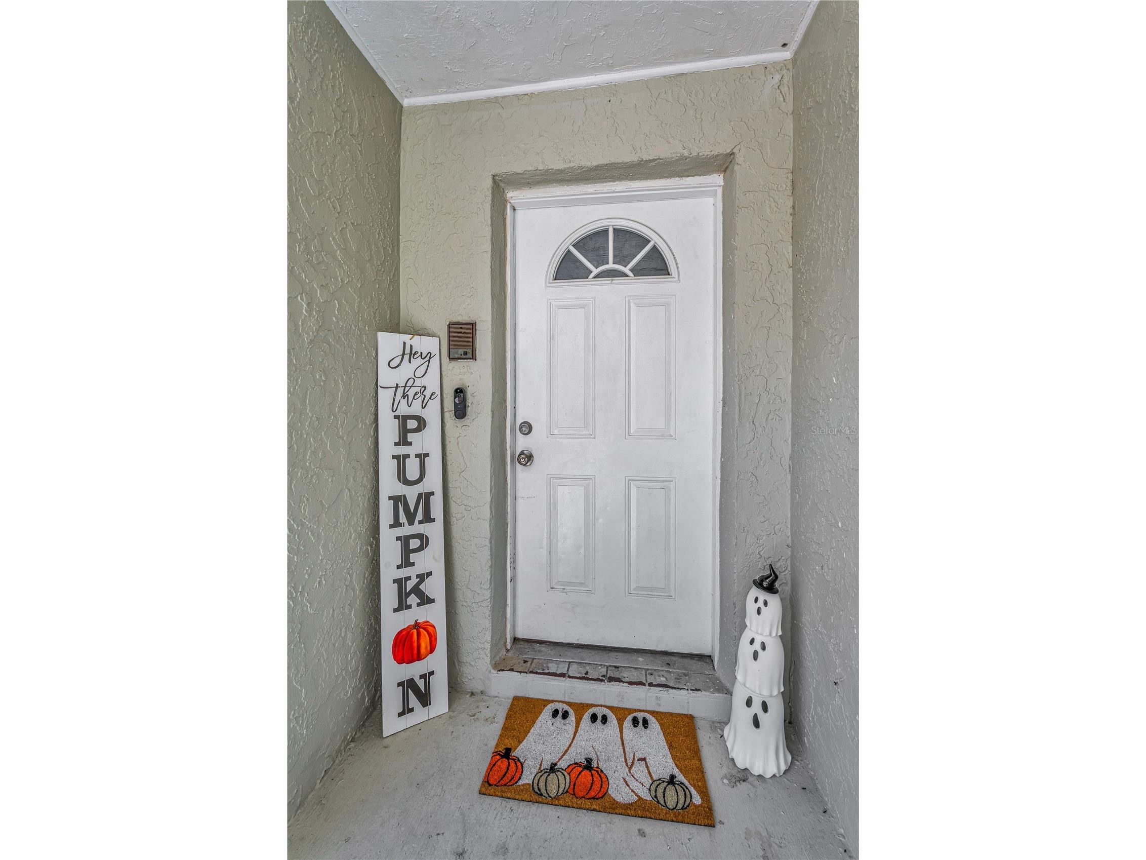 11121 Peppertree Lane Port Richey FL 34668 TB8421067 image11