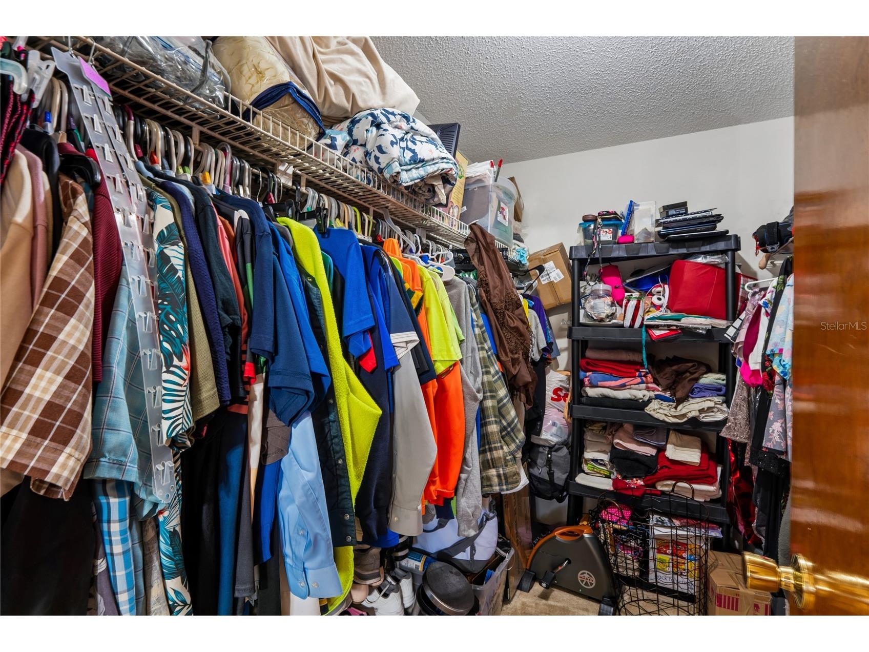 11122 Maderia Street Spring Hill FL 34609 W7884880 image25