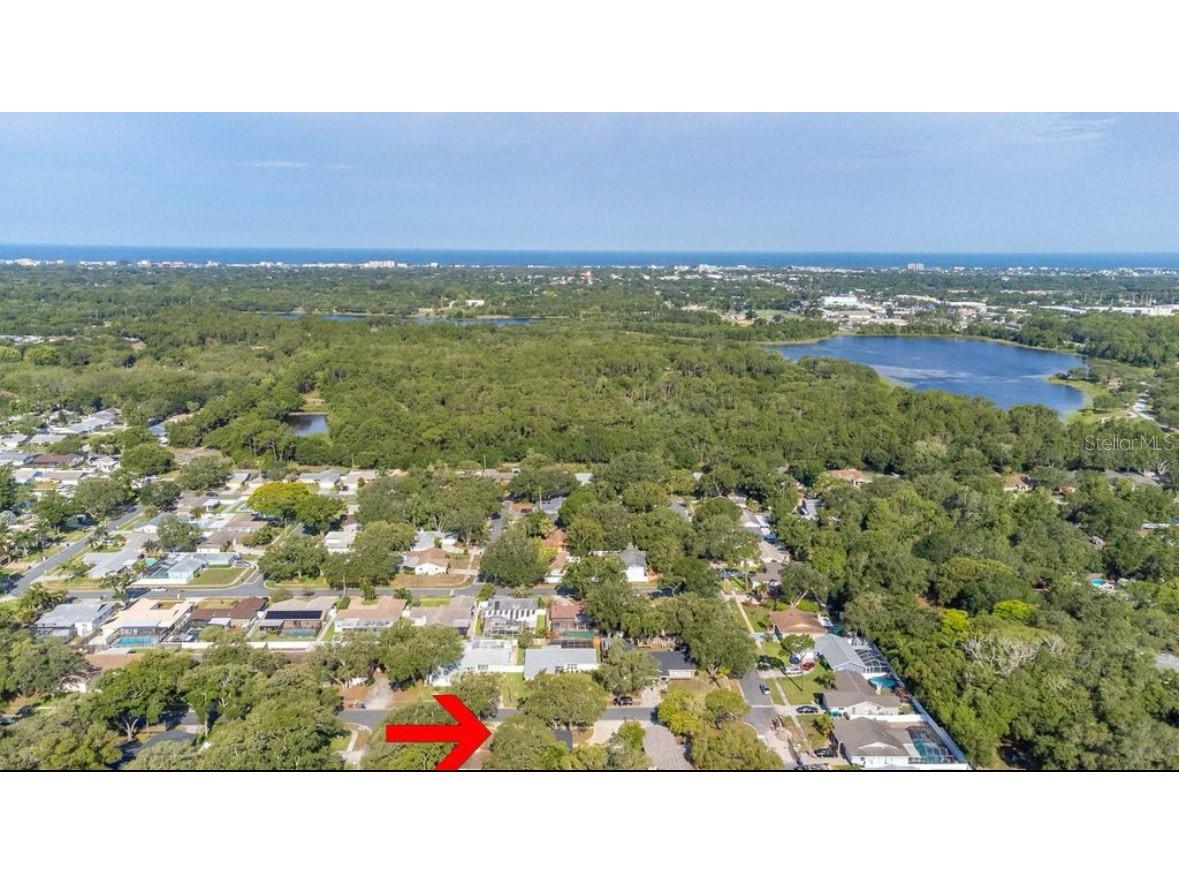 11123 117th Way Largo FL 33778 TB8419835 image13