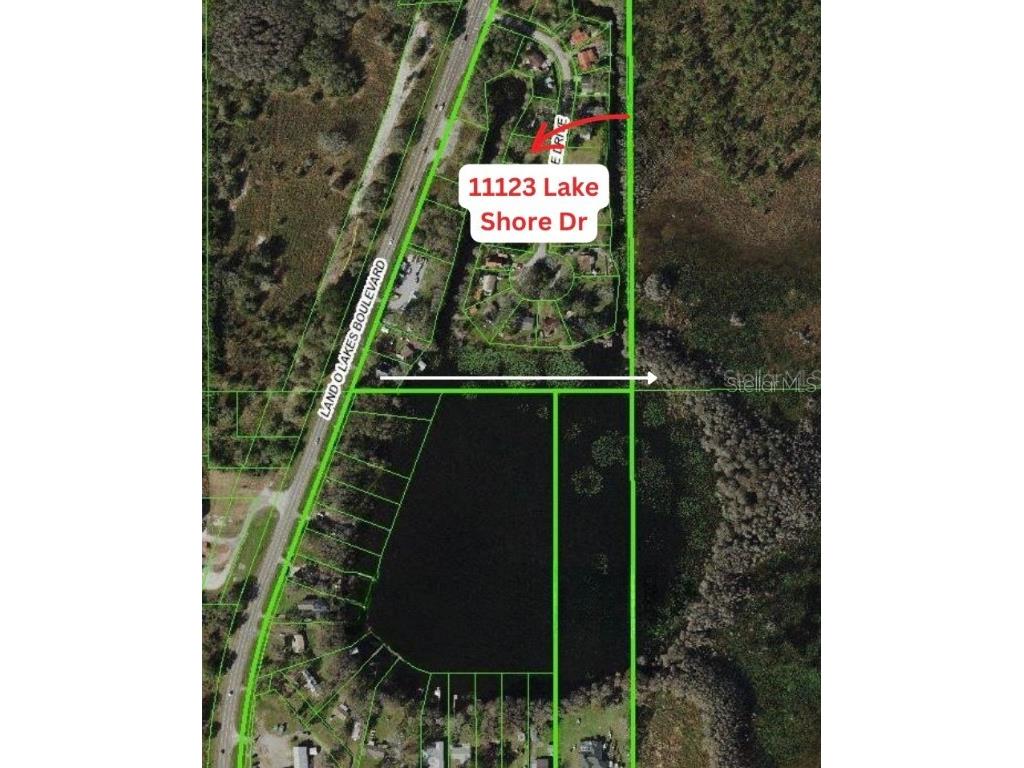 11123 Lake Shore Drive Land O Lakes FL 34637 TB8356763 image2