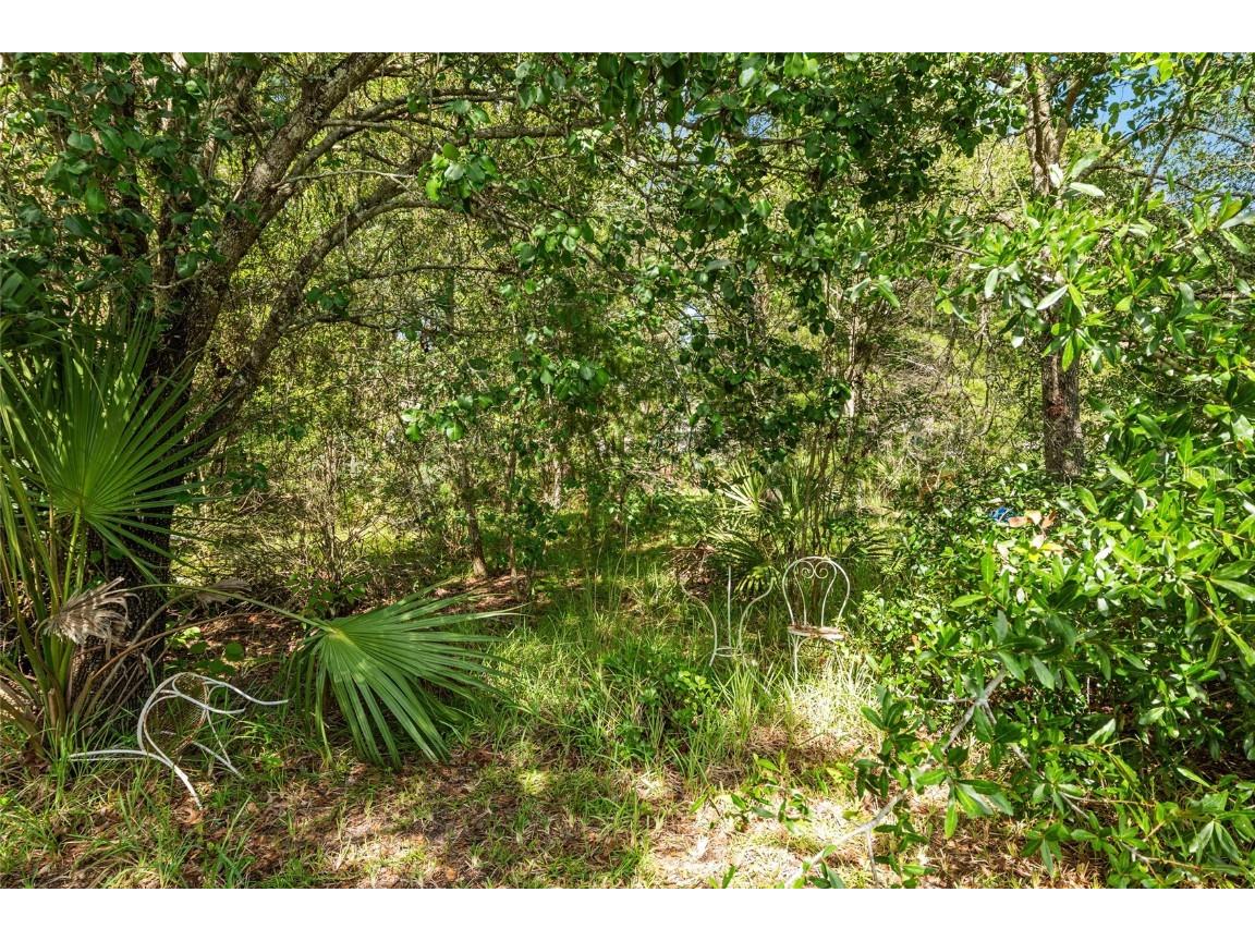 11123 SW 53rd Circle Ocala FL 34476 GC533409 image58