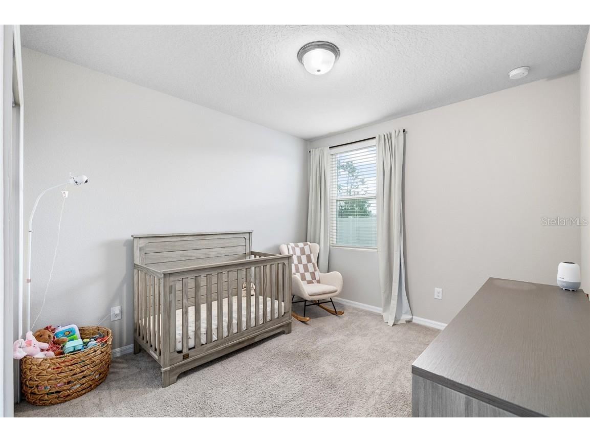 11123 Thornberry Drive Spring Hill FL 34609 TB8391459 image23