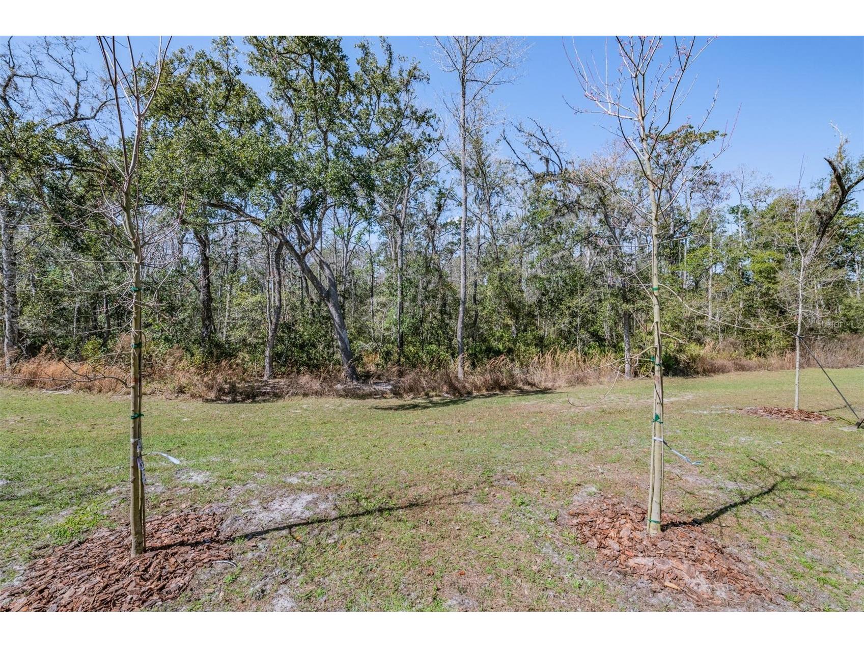 11123 Wishing Cloud Road Land O Lakes FL 34638 TB8479644 image37