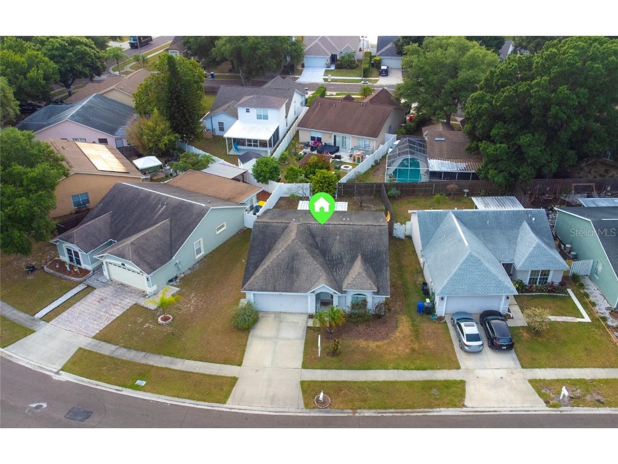 11124 Bramblebrush Street Tampa FL 33624 T3525122 image1