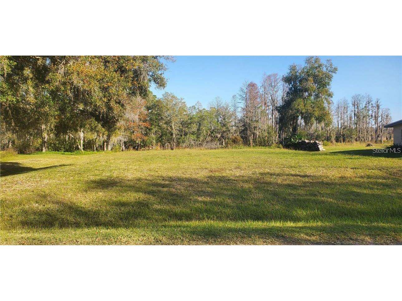 11124 Lake Shore Drive Land O Lakes FL 34637 TB8356879 image1