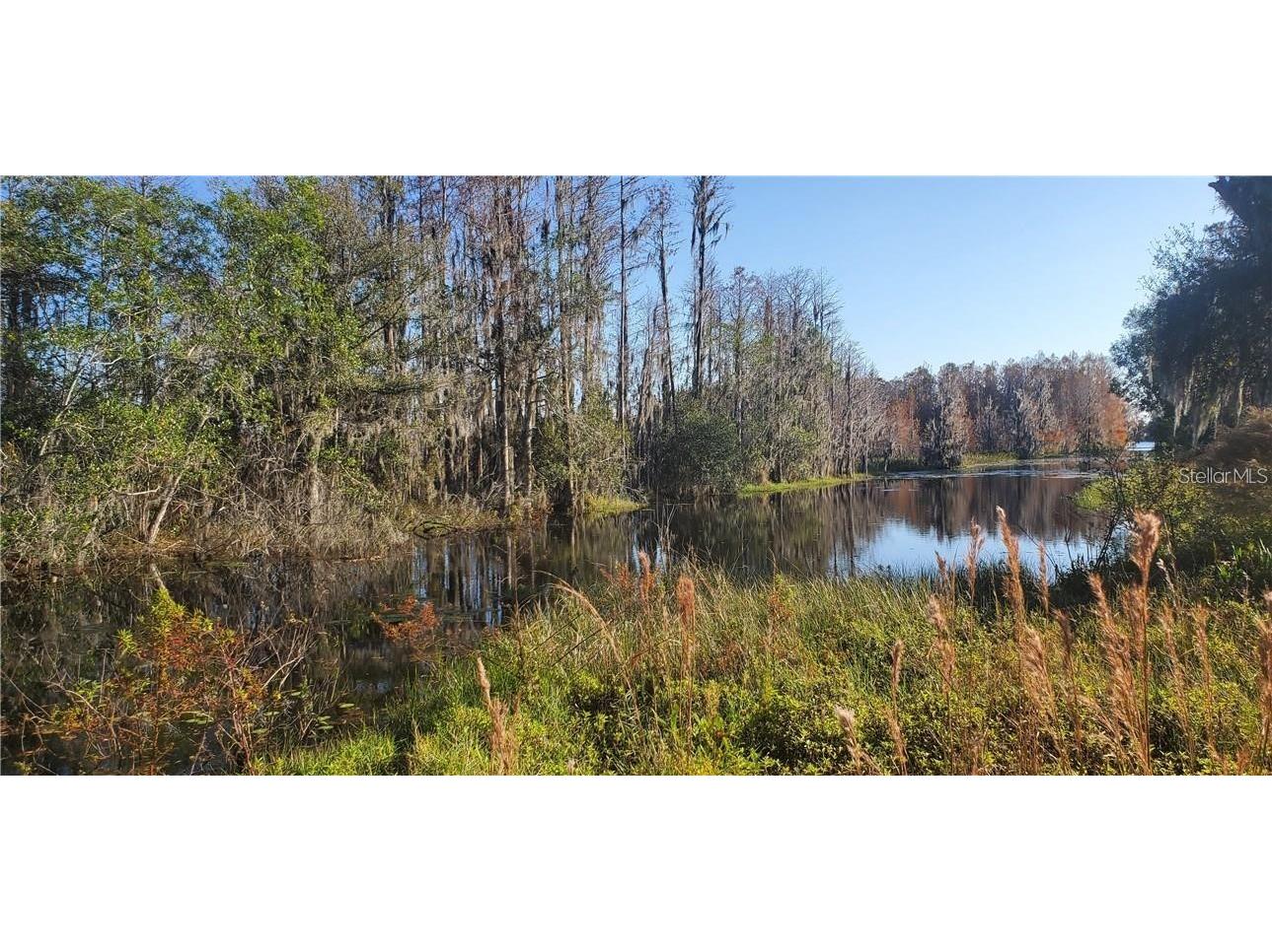 11124 Lake Shore Drive Land O Lakes FL 34637 TB8356879 image2