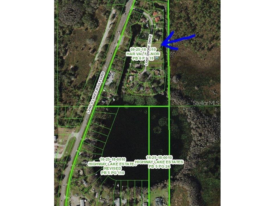 11124 Lake Shore Drive Land O Lakes FL 34637 TB8356879 image4