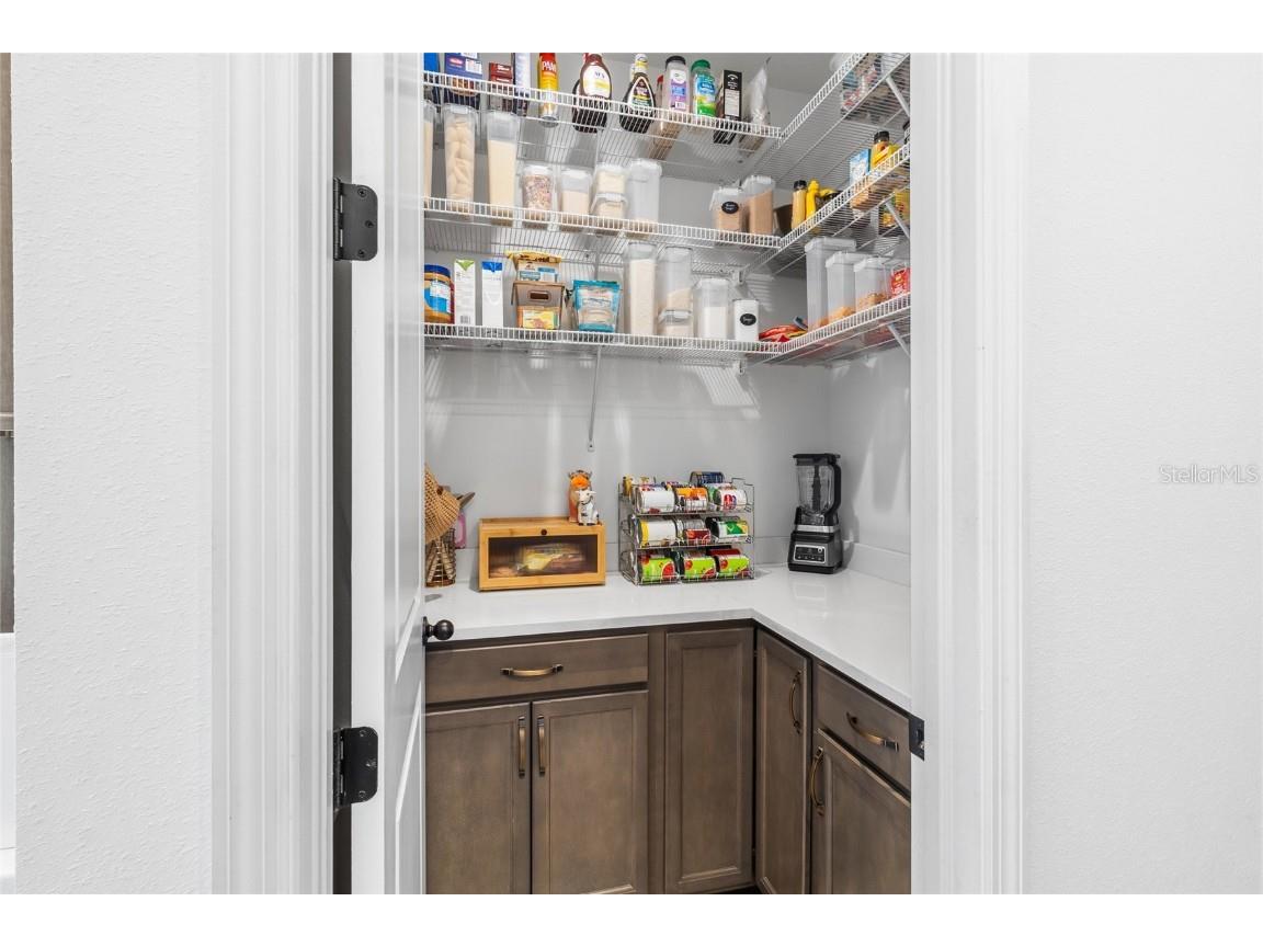 11124 Moonsail Drive Parrish FL 34219 TB8451008 image22