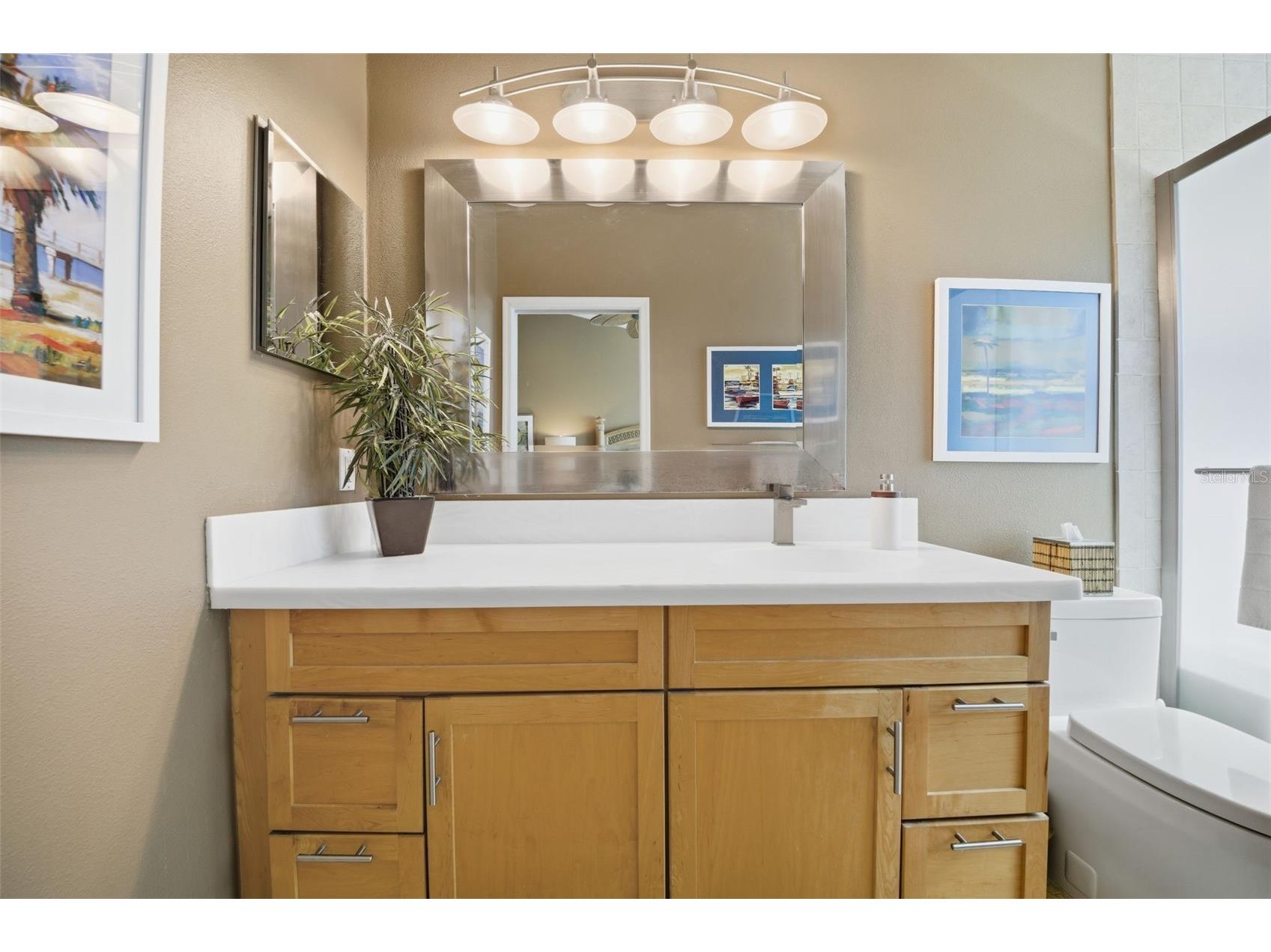 11125 Kapok Grand Circle Madeira Beach FL 33708 TB8467270 image25