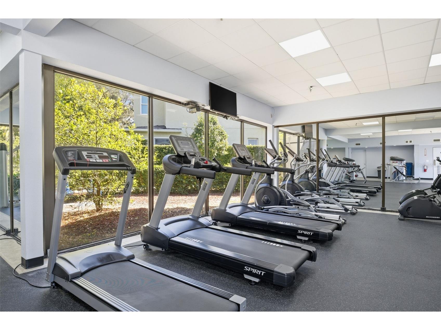 11125 Kapok Grand Circle Madeira Beach FL 33708 TB8467270 image53