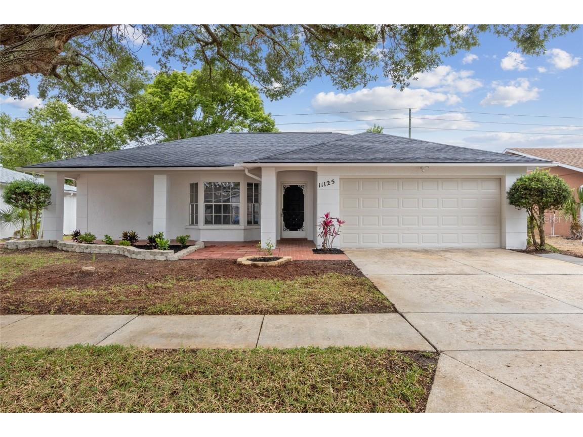 11125 Rollingwood Drive Port Richey FL 34668 T3525383 image1