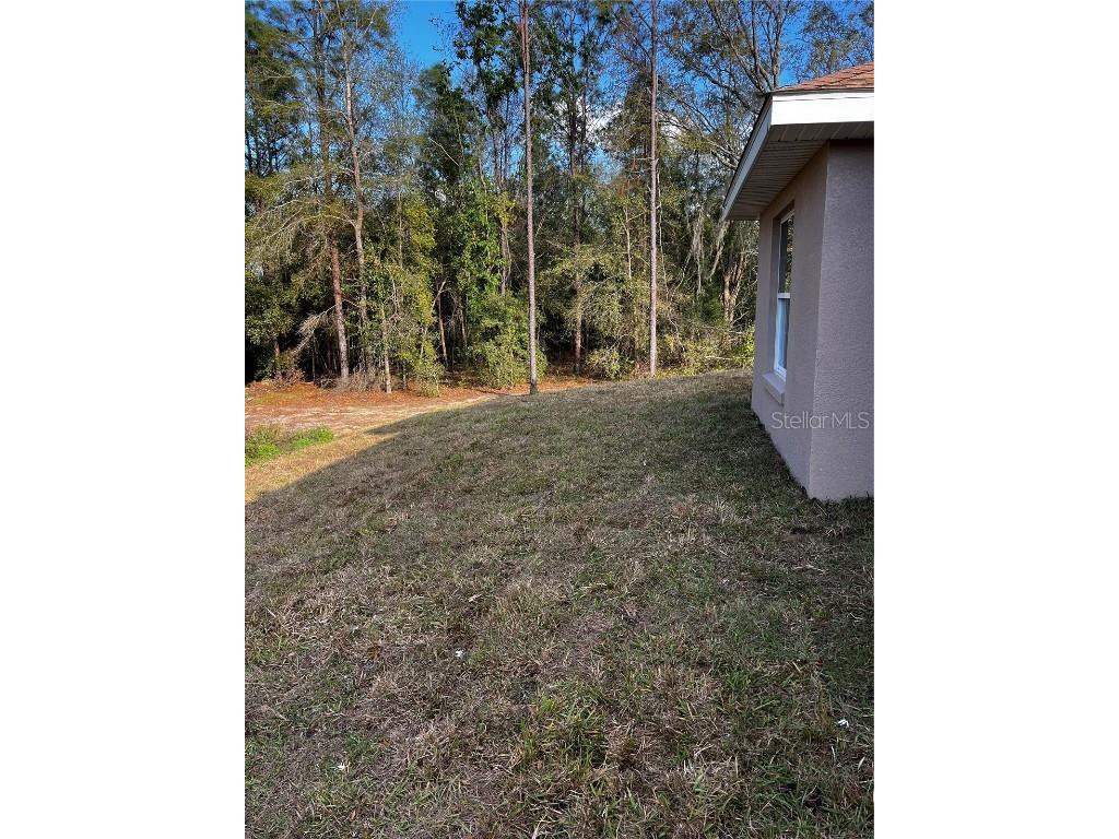 11125 SE 119th Street Belleview FL 34420 G5094614 image20