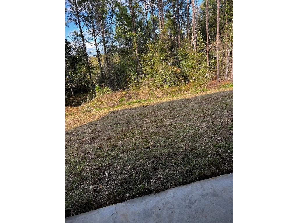 11125 SE 119th Street Belleview FL 34420 G5094614 image28