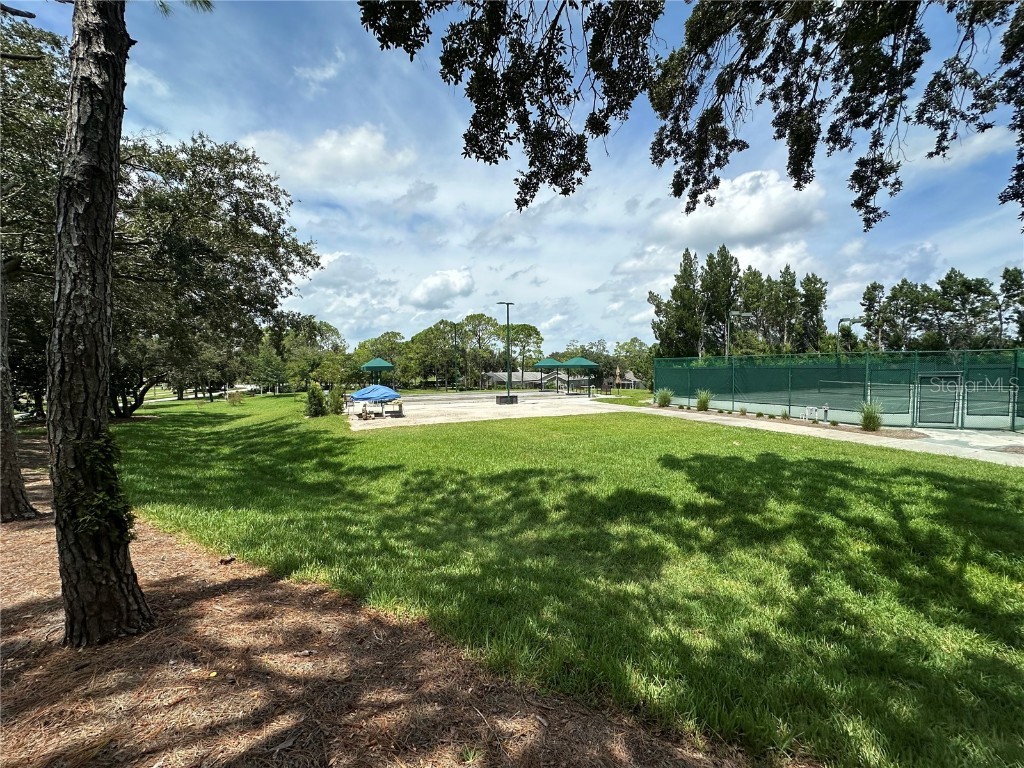 11125 Sun Tree Road Hudson FL 34667 W7879738 image36