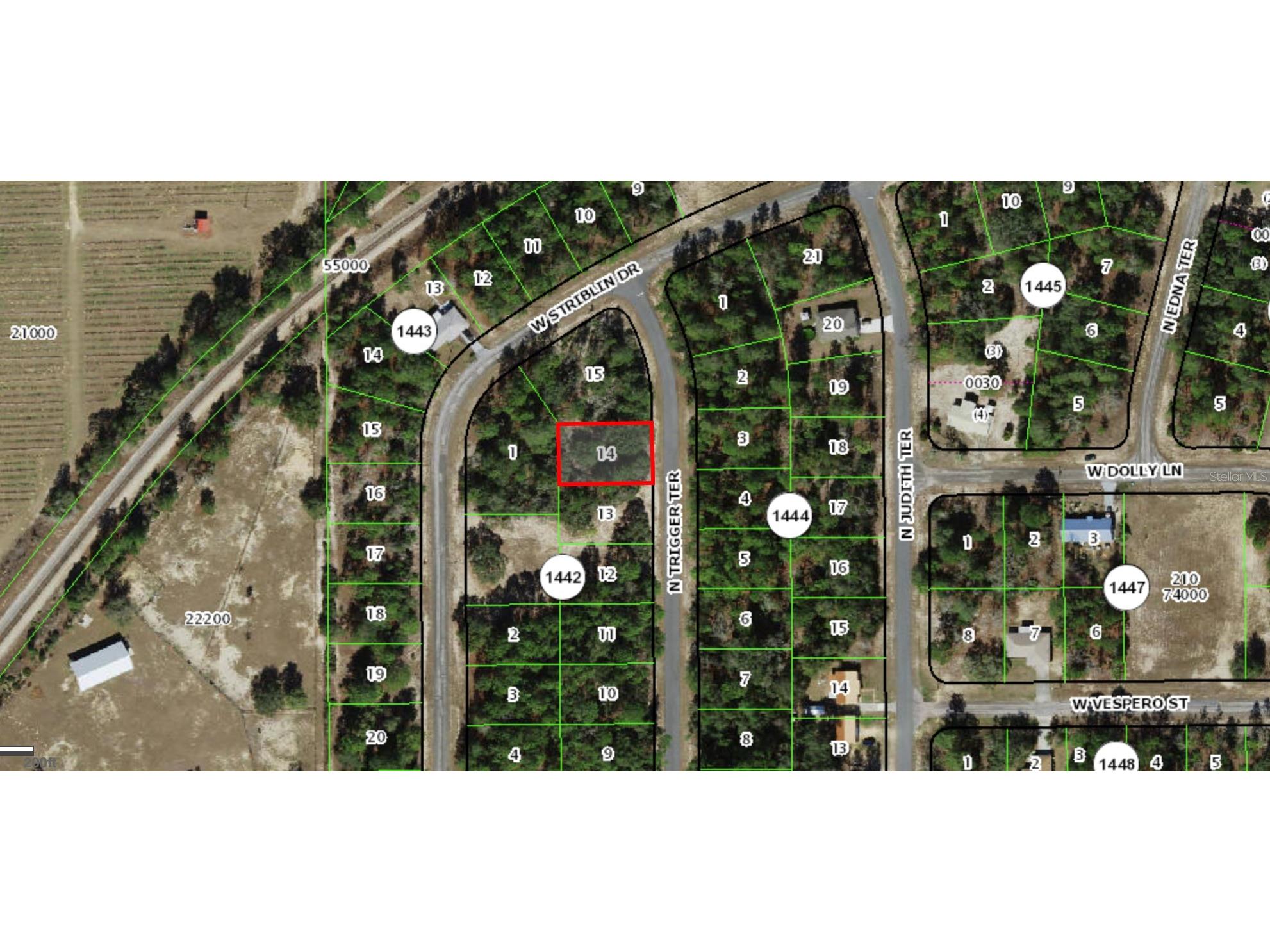11126 N Trigger Terrace Citrus Springs FL 34433 O6406107 image2