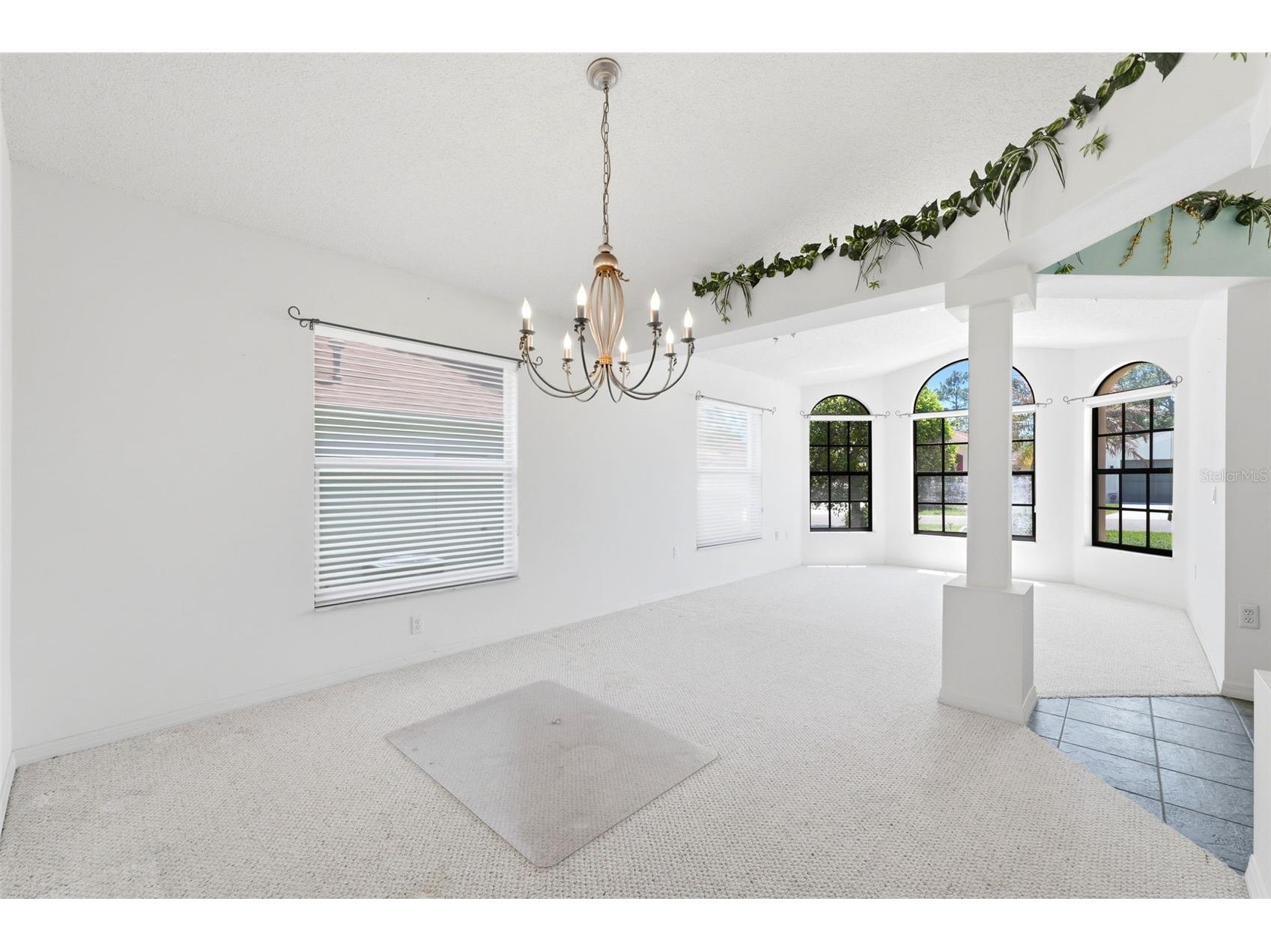 11127 Cherrywood Court Spring Hill FL 34609 W7885001 image38