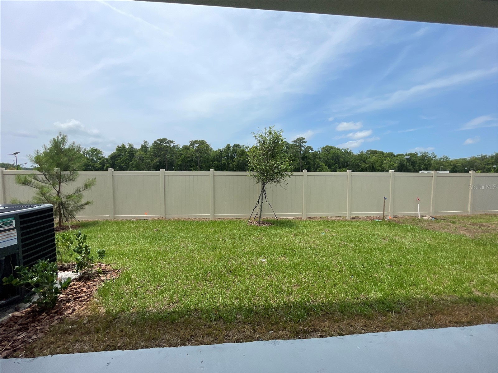 11127 Crescent Deer Drive Land O Lakes FL 34638 TB8516349 image21