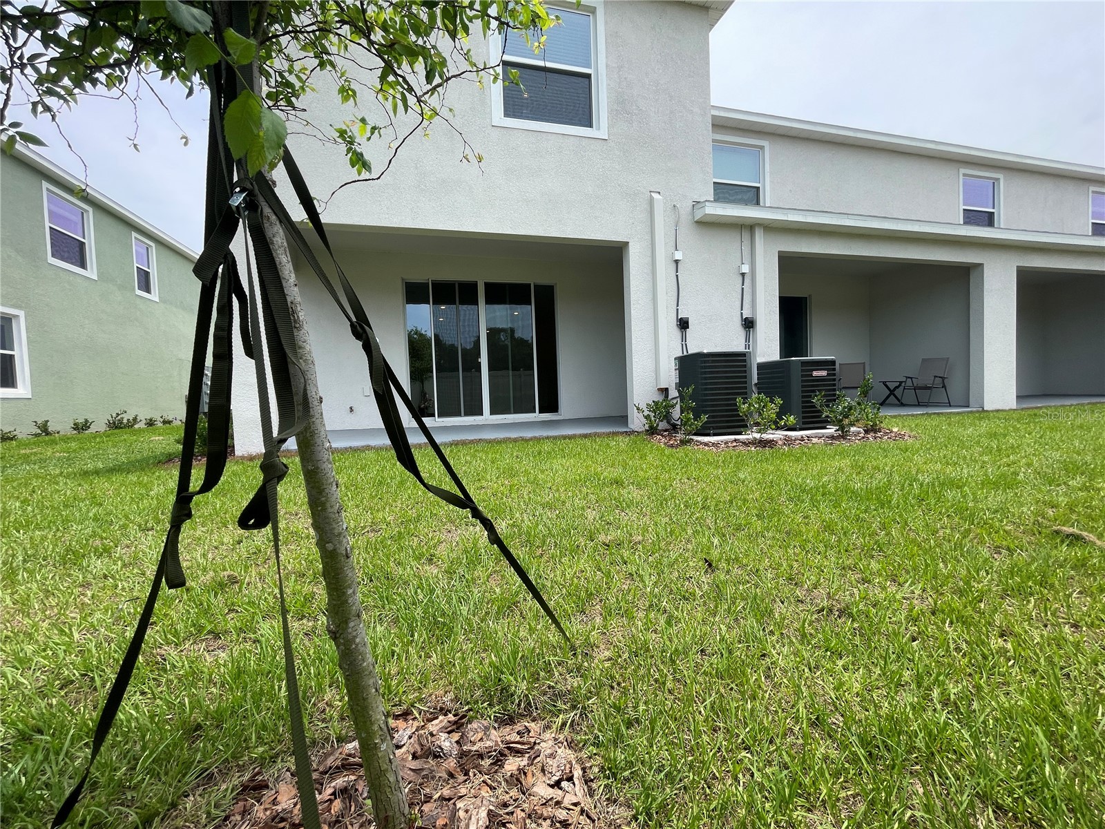 11127 Crescent Deer Drive Land O Lakes FL 34638 TB8516349 image22