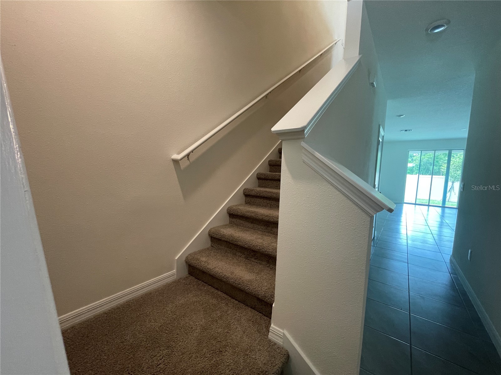 11127 Crescent Deer Drive Land O Lakes FL 34638 TB8516349 image23