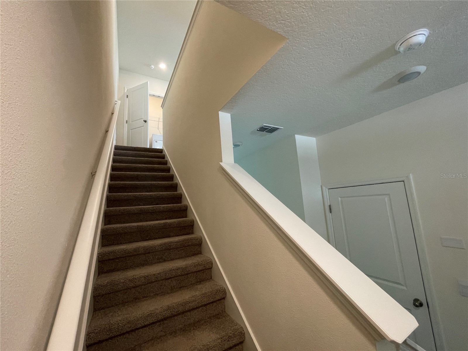 11127 Crescent Deer Drive Land O Lakes FL 34638 TB8516349 image24