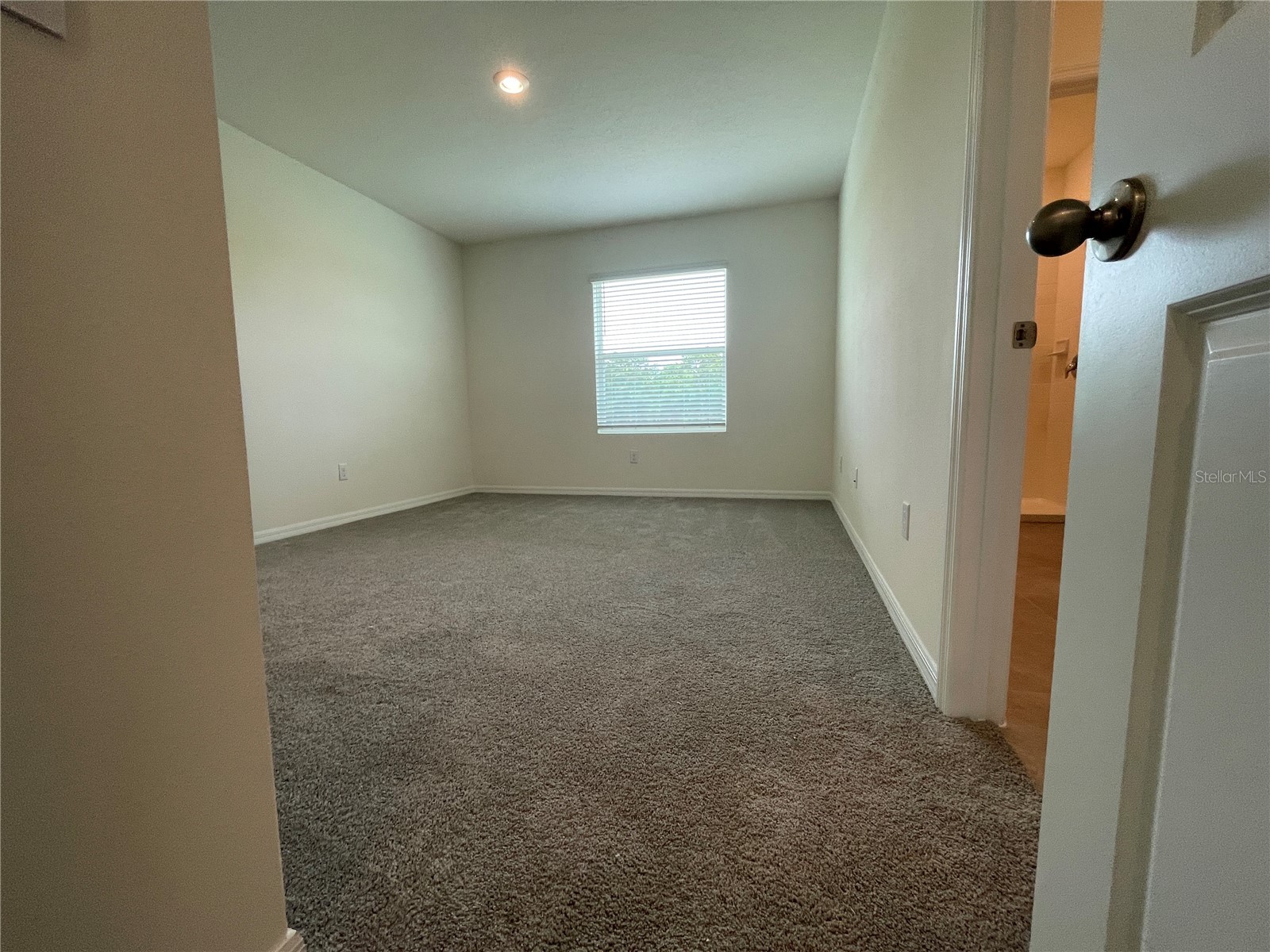 11127 Crescent Deer Drive Land O Lakes FL 34638 TB8516349 image28