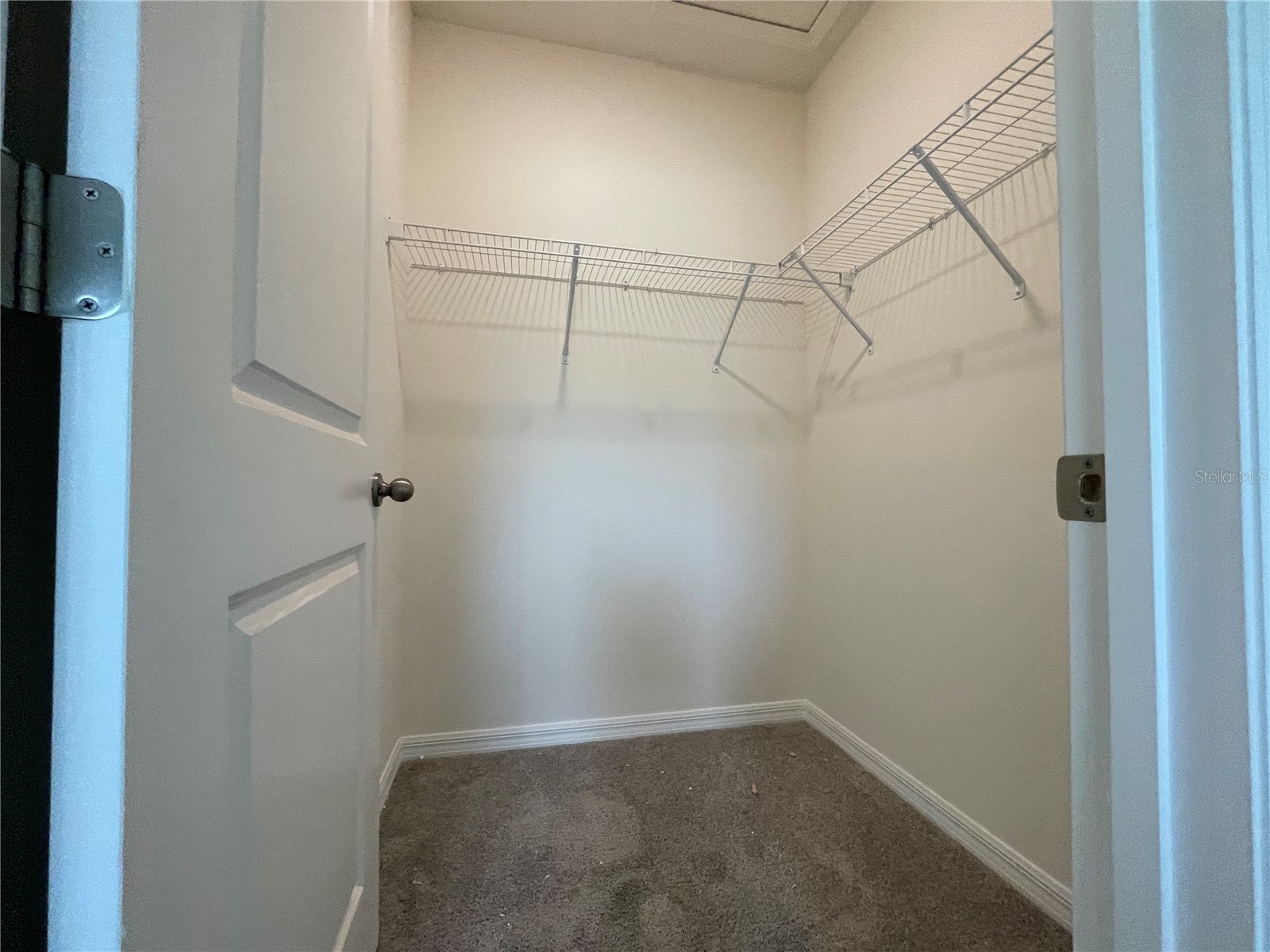 11127 Crescent Deer Drive Land O Lakes FL 34638 TB8516349 image30