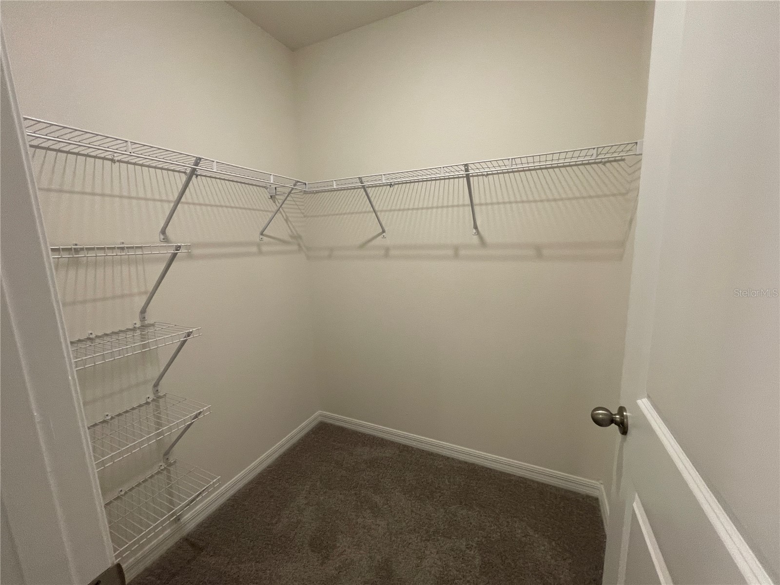 11127 Crescent Deer Drive Land O Lakes FL 34638 TB8516349 image35