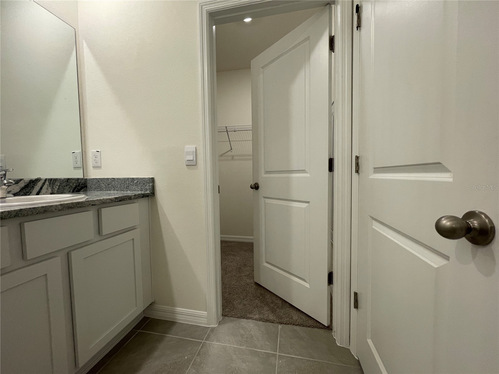 11127 Crescent Deer Drive Land O Lakes FL 34638 TB8516349 image36