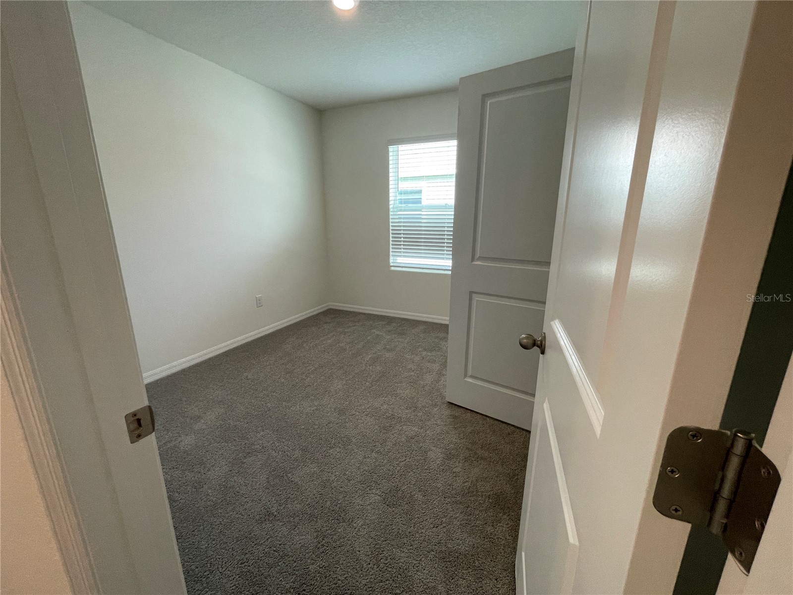 11127 Crescent Deer Drive Land O Lakes FL 34638 TB8516349 image38