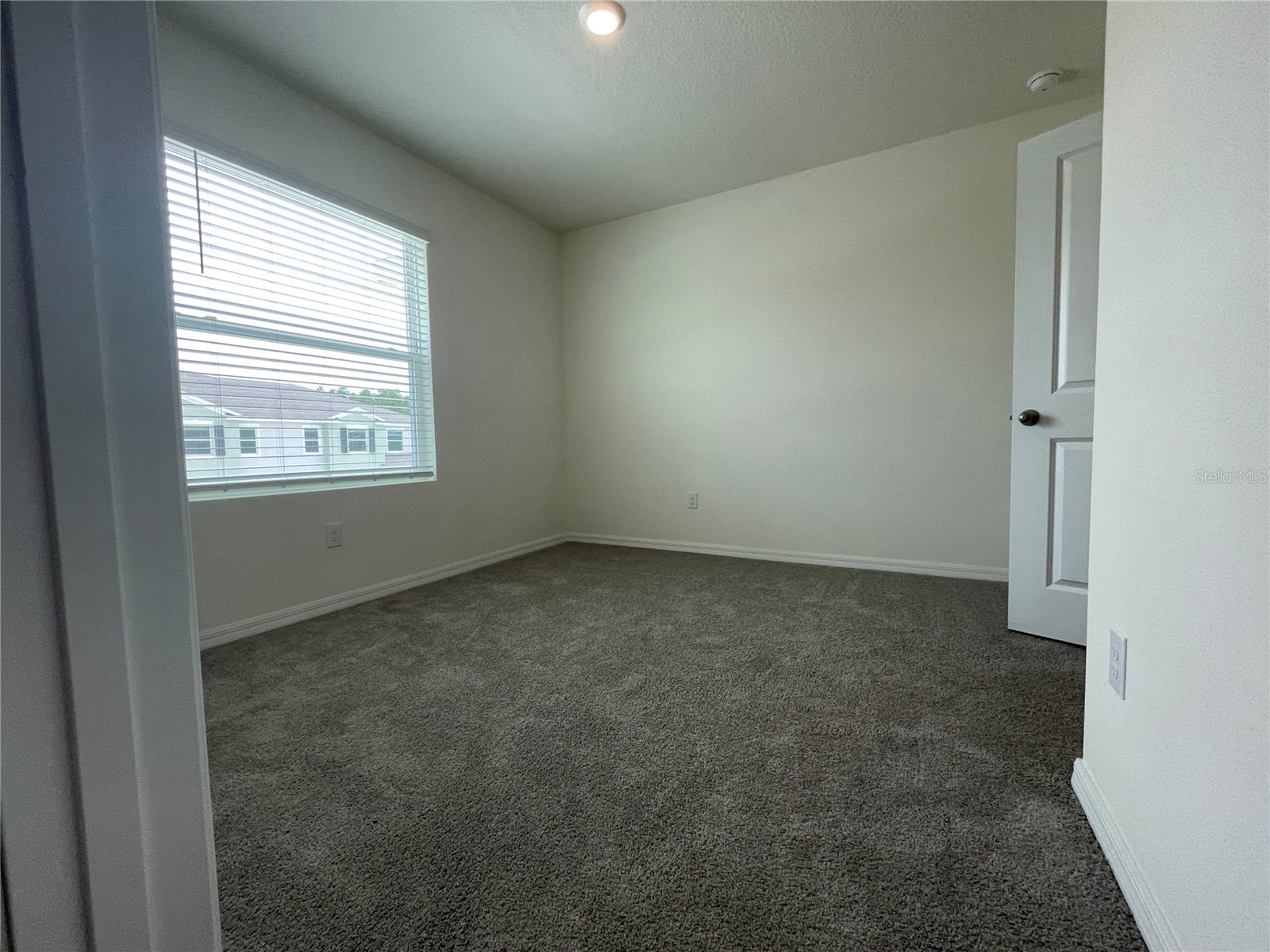 11127 Crescent Deer Drive Land O Lakes FL 34638 TB8516349 image43
