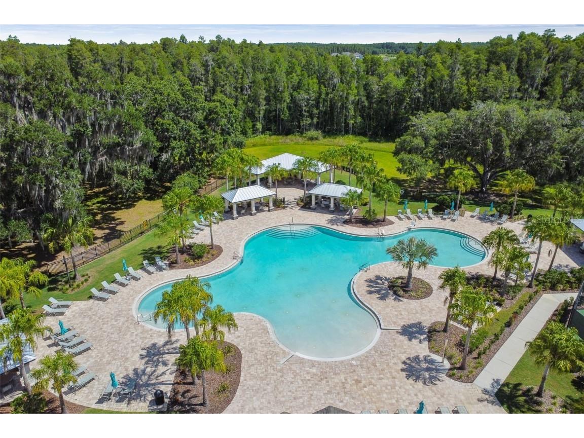 11127 Sundrift Drive Tampa FL 33647 TB8448971 image38