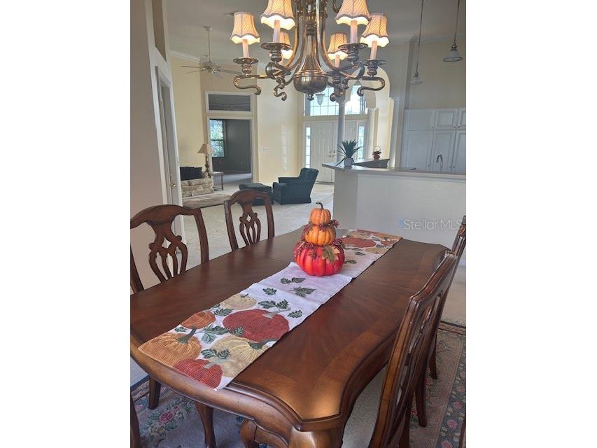 11127 SW 73rd Circle Ocala FL 34476 OM708220 image17