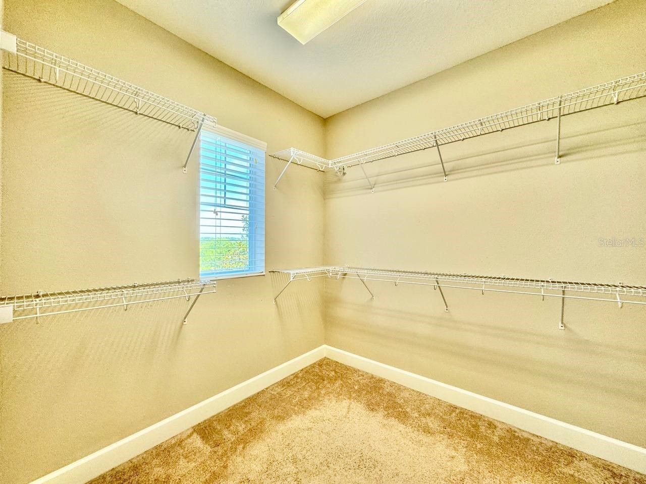 11127 Winthrop Lake Drive Riverview FL 33578 TB8506403 image35