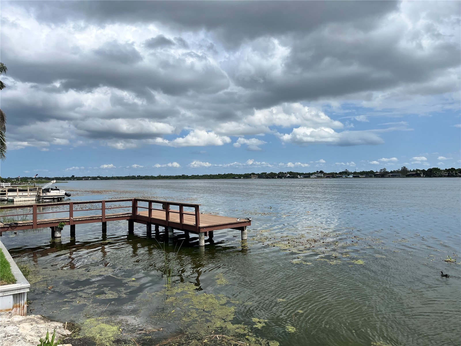 11128 102nd Way #225 Largo FL 33773 - LAKE SEMINOLE TB8490340 image14
