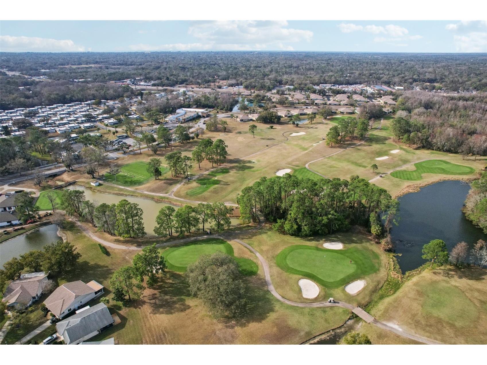 11129 Kiskadee Circle New Port Richey FL 34654 TB8478432 image38