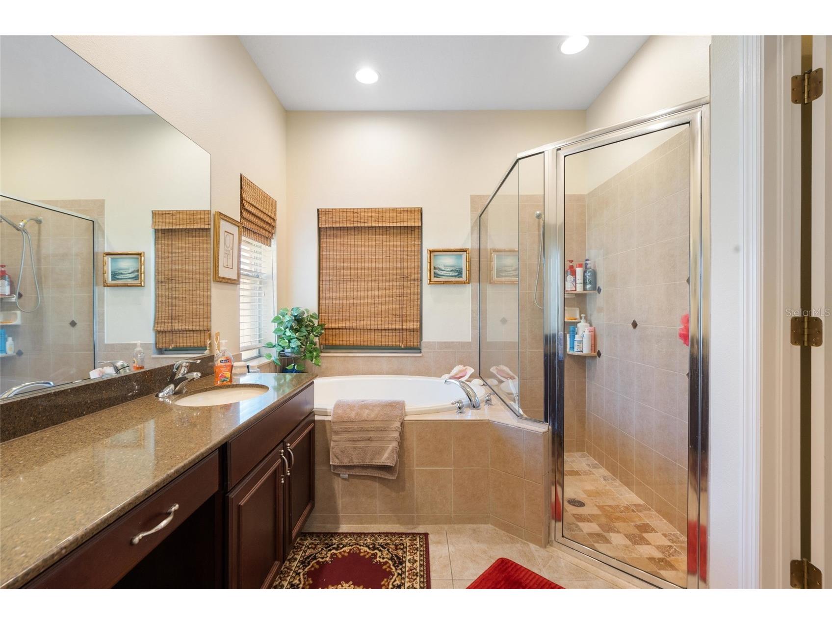 11129 Oyster Bay Circle New Port Richey FL 34654 W7884125 image24