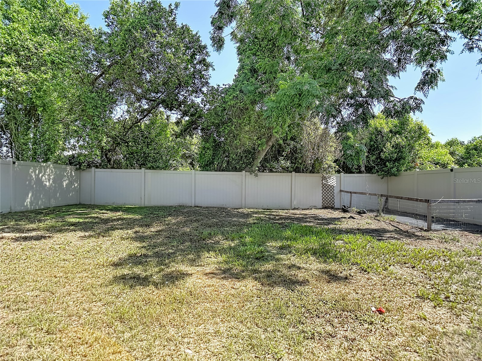 1113 Canyon Oaks Drive Brandon FL 33510 TB8515873 image45