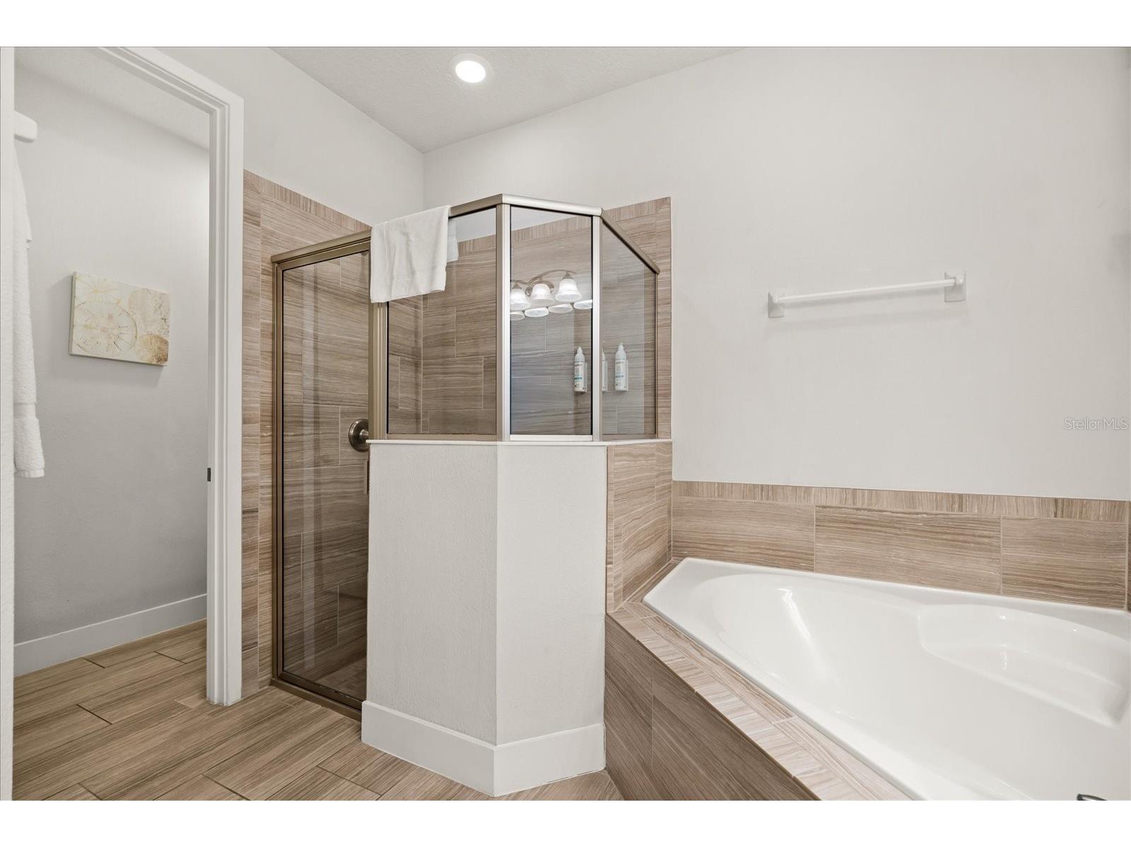 1113 Castle Pines Court Reunion FL 34747 O6375737 image36