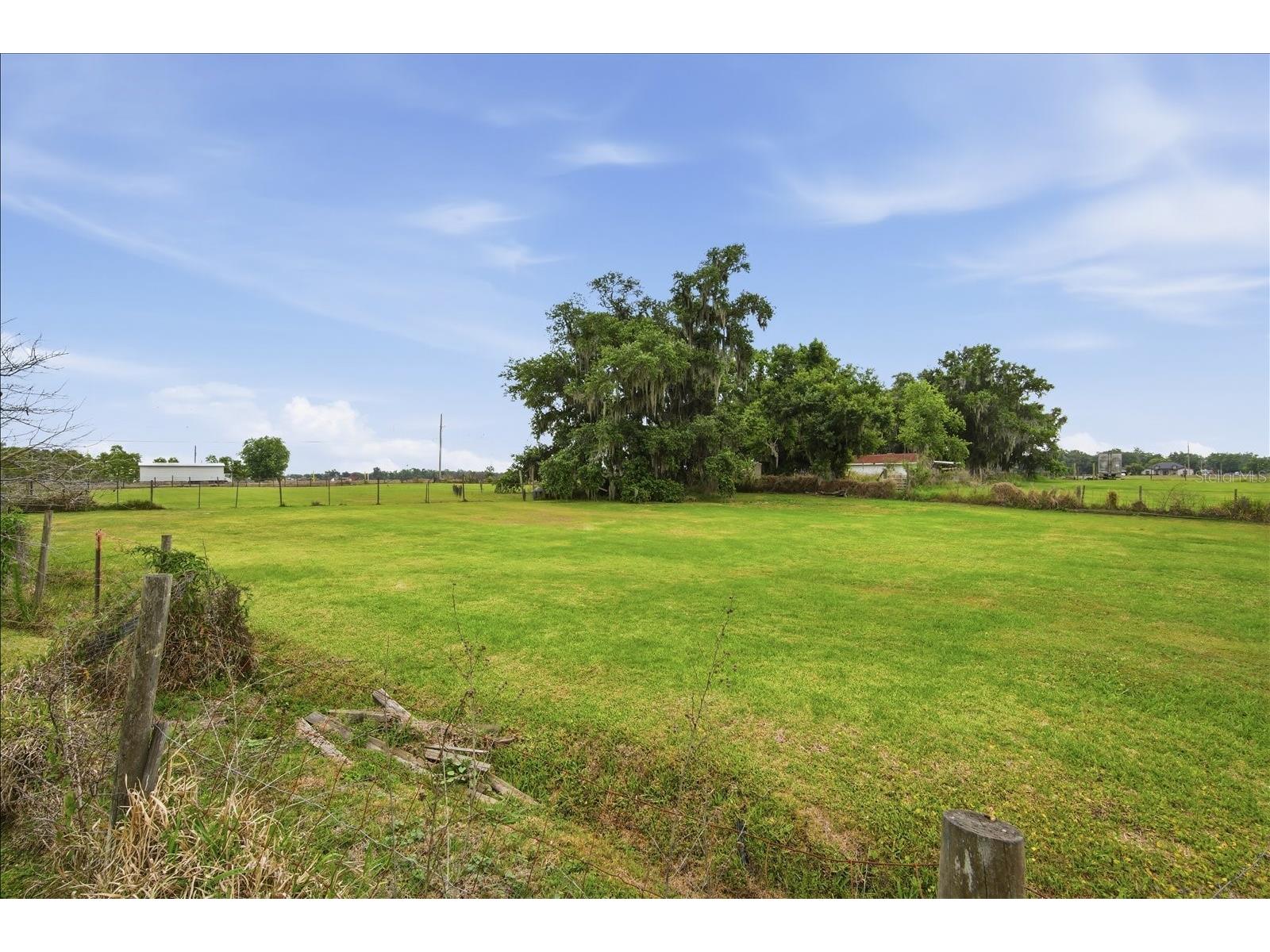 1113 Colson Road Plant City FL 33567 TB8512646 image25