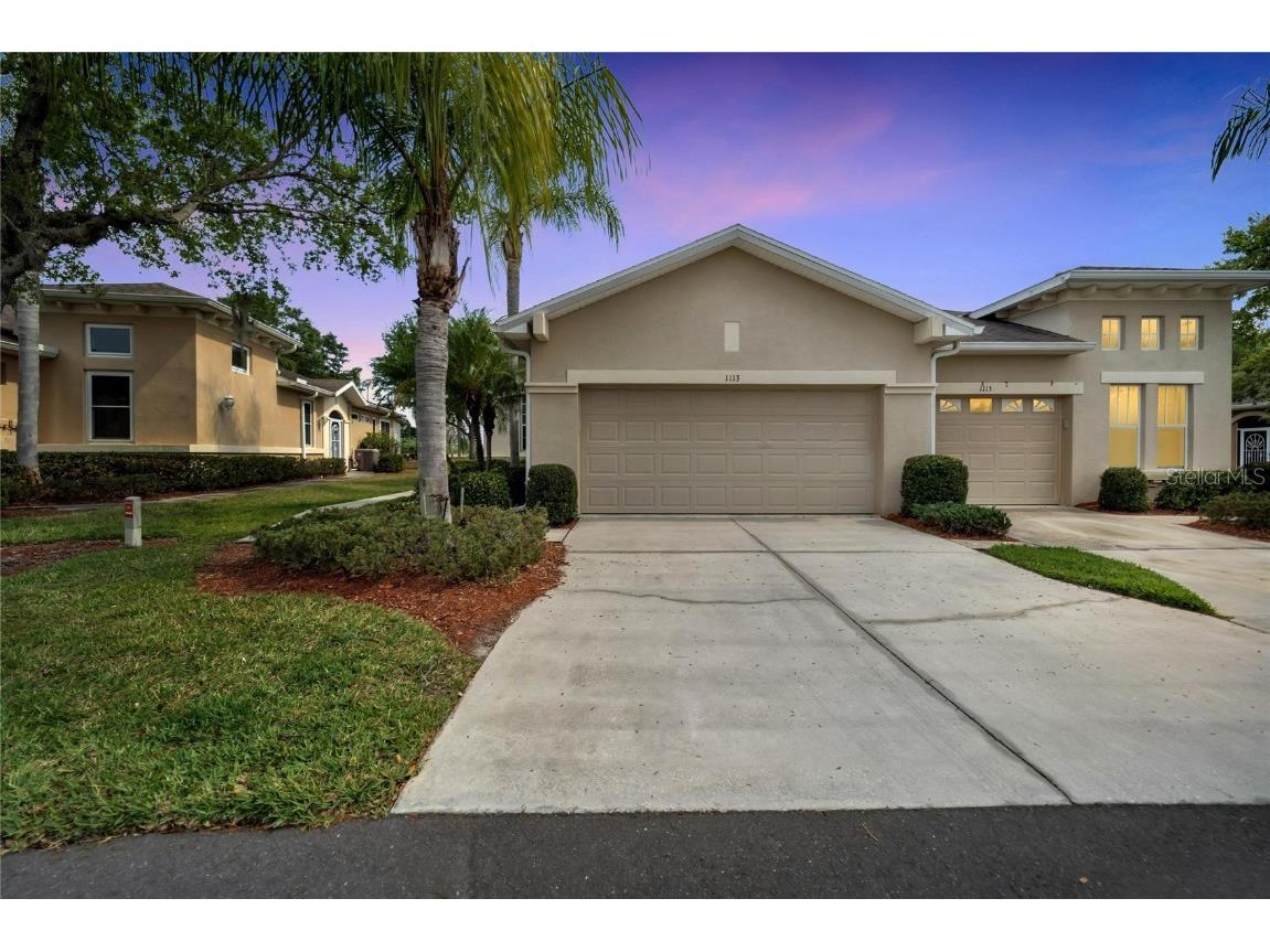 1113 Jameson Greens Drive #49 Sun City Center FL 33573 T3432936 image1