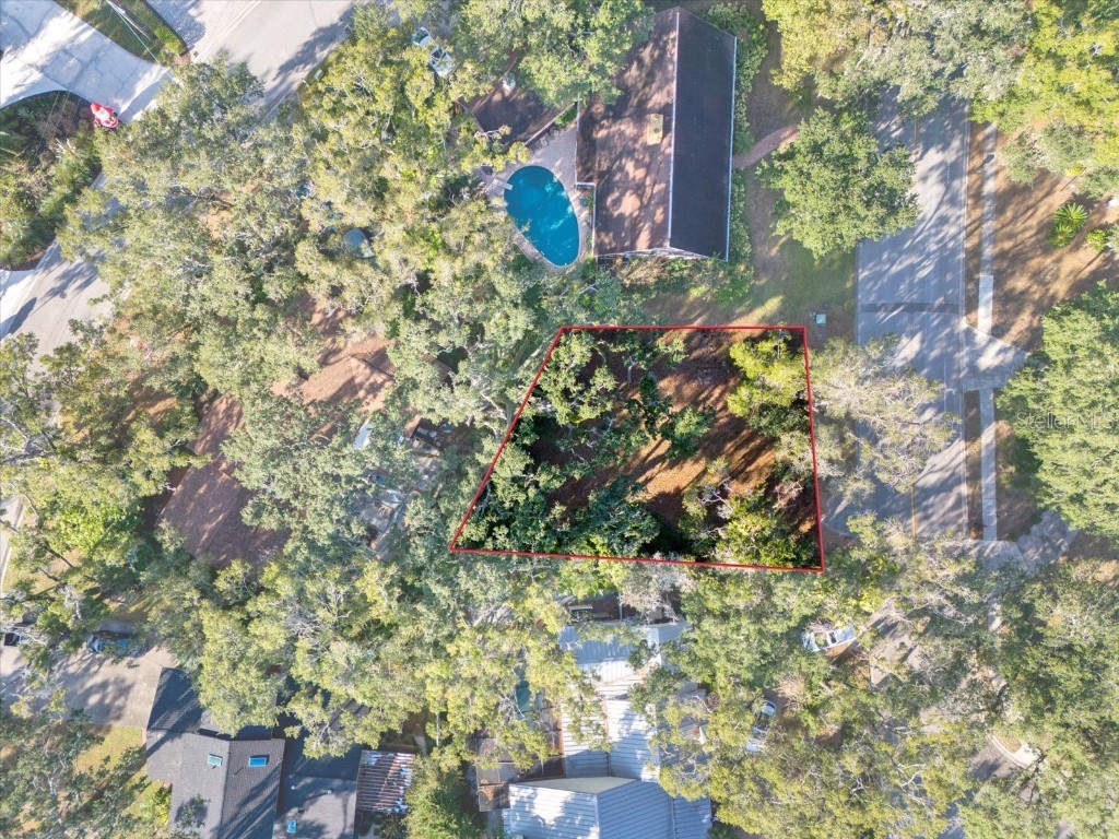 1113 N Riverhills Drive Temple Terrace FL 33617 A4675367 image11