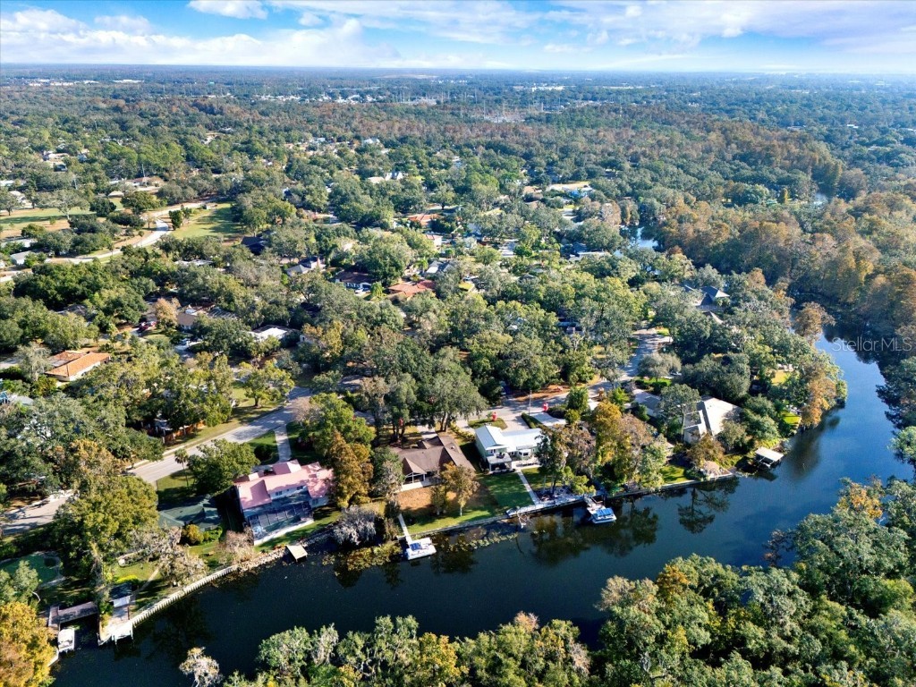 1113 N Riverhills Drive Temple Terrace FL 33617 A4675367 image12