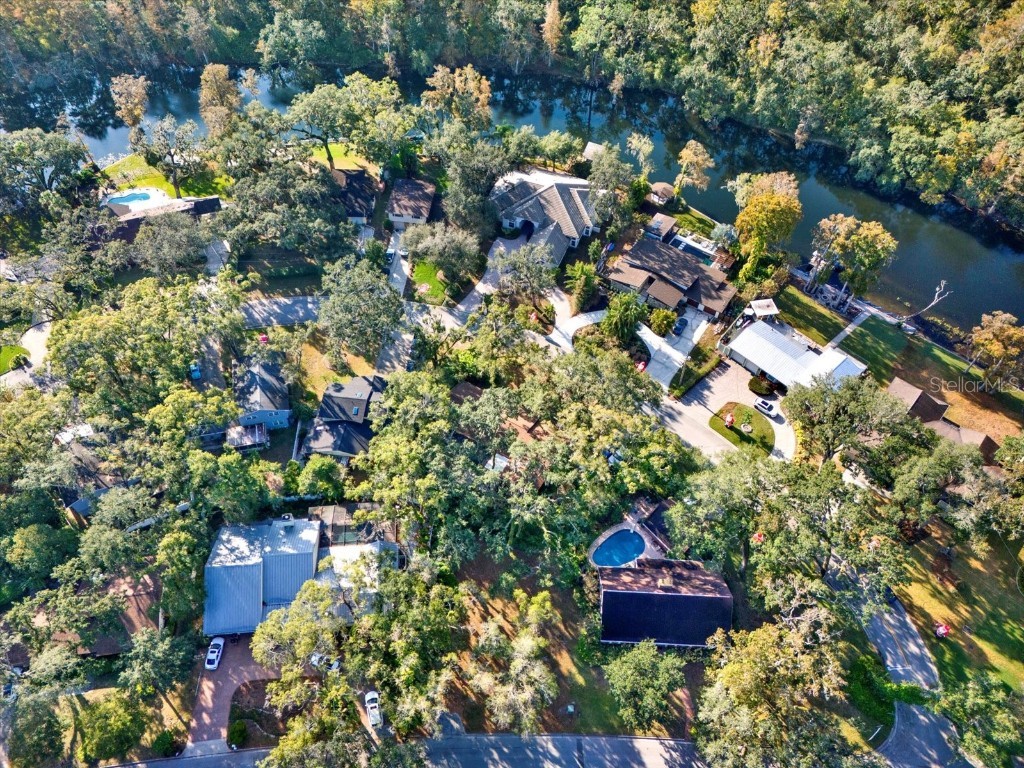 1113 N Riverhills Drive Temple Terrace FL 33617 A4675367 image16