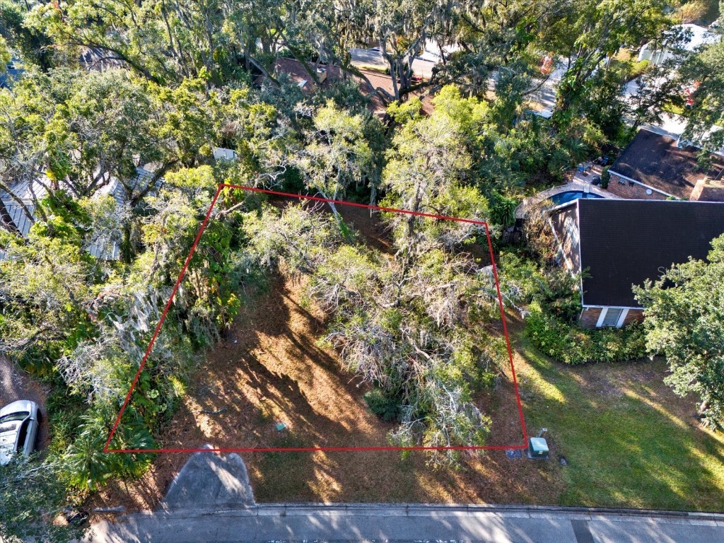 1113 N Riverhills Drive Temple Terrace FL 33617 A4675367 image4